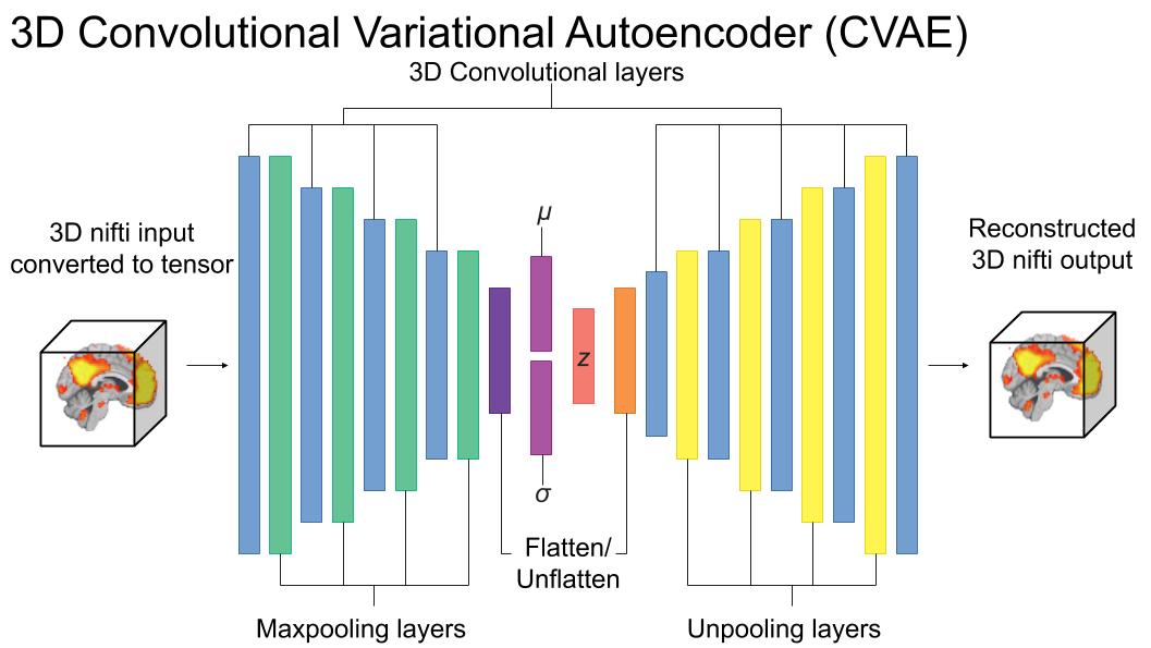 Variational Autoencoder for Resting-State Functional MRI | Desiree Lussier